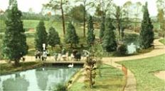 Grosvenor Park