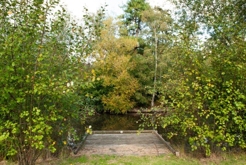 Dipping pond
