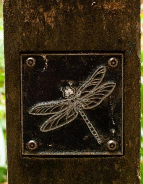 Dragonfly brass rubbing