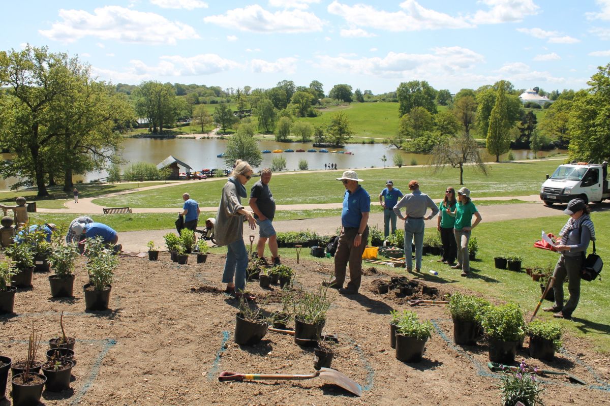 Dunorlan Park planting