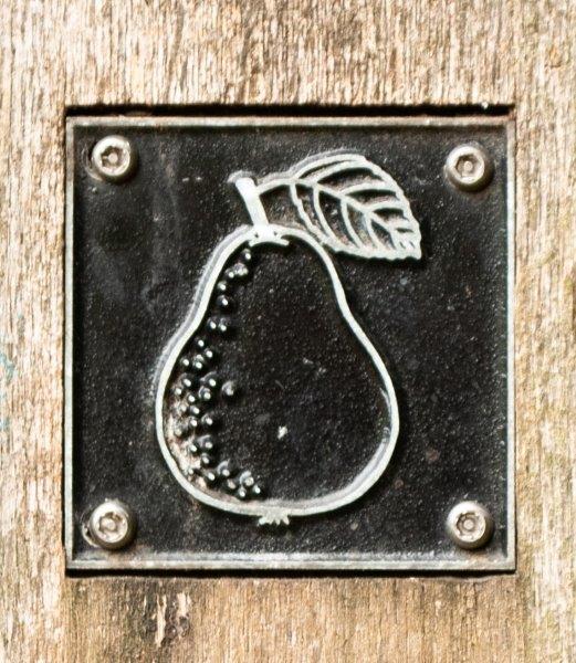 Pear brass rubbing