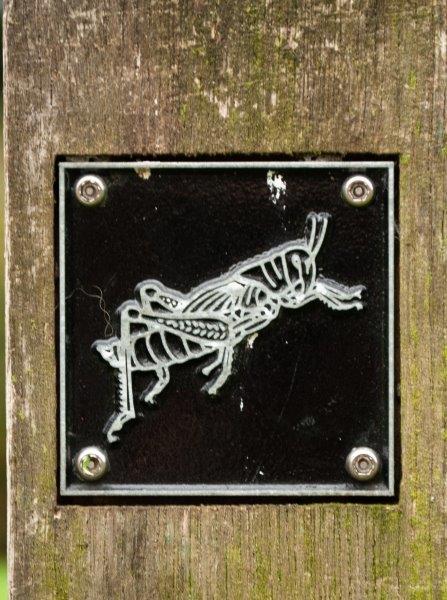 Grasshopper brass rubbing