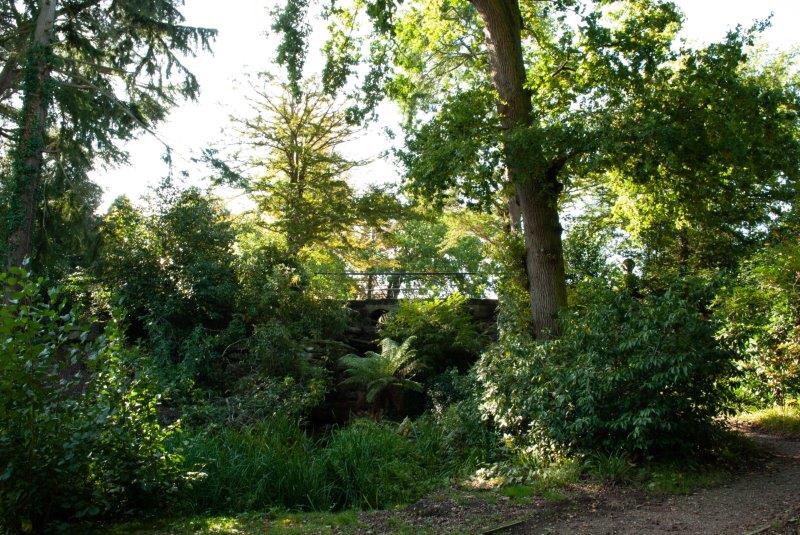 Dunorlan water garden