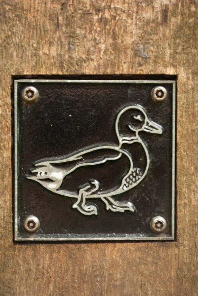 Duck brass rubbing