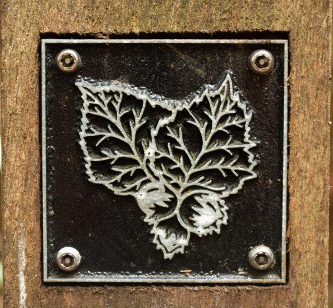 Hazelnuts brass rubbing