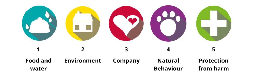 Five animal welfare needs: food and water, environment, company, natural behaviour, protection from harm. &copy; RSPCA