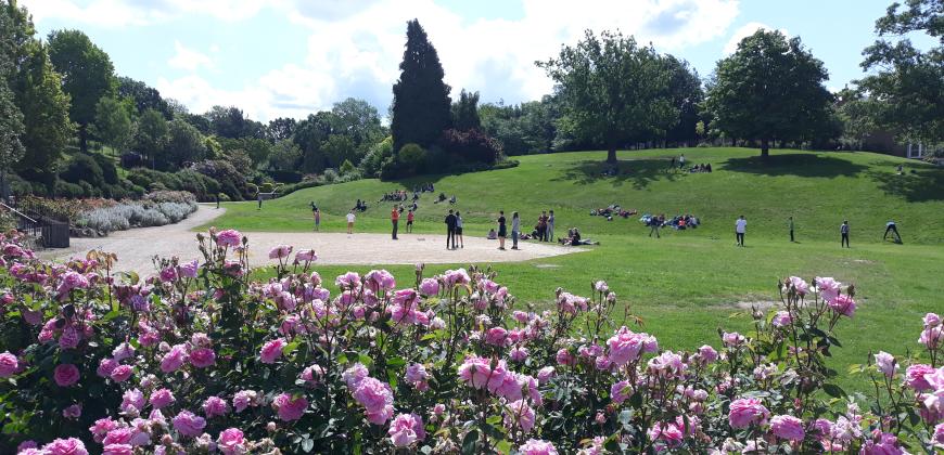 Calverley Grounds in June