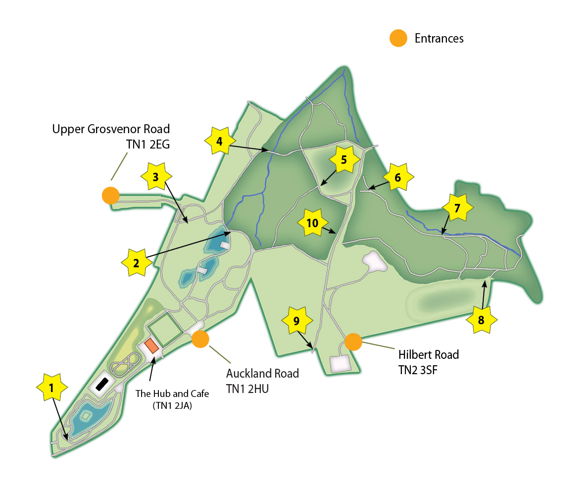 Brass rubbing trail map